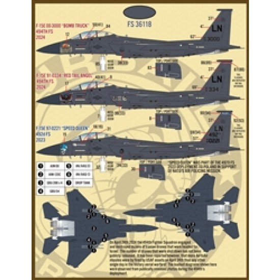1/48 USAF F-15E Drone Killers 494th Fighter Squadron Decal 1/48 USAF F-15E Drone Killers 494th Fighter Squadron Decal