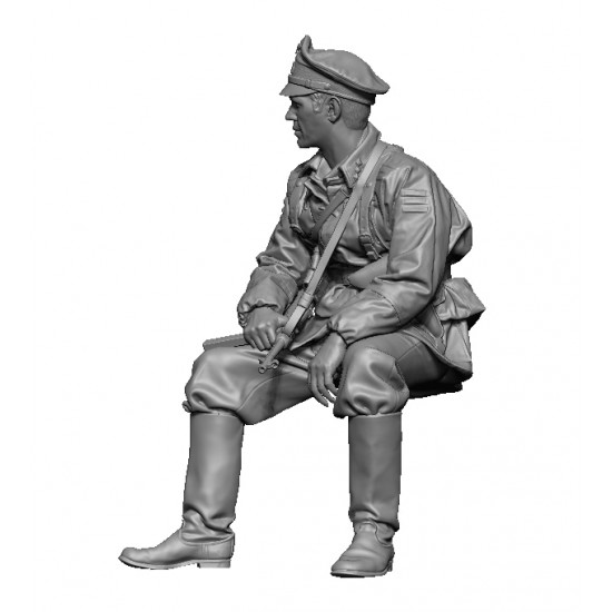 1/35 WWII German SS officer 1/35 WWII German SS officer