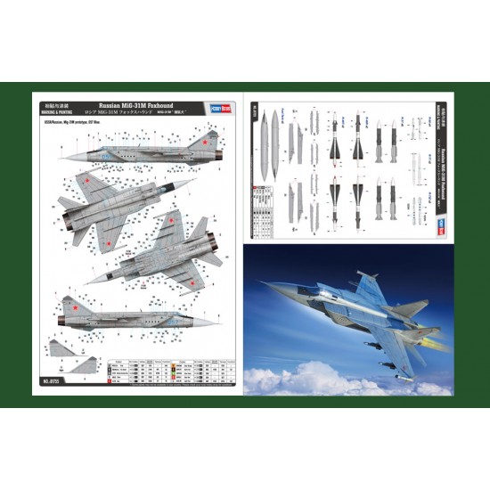 1/48 Russian MiG-31M Foxhound 1/48 Russian MiG-31M Foxhound