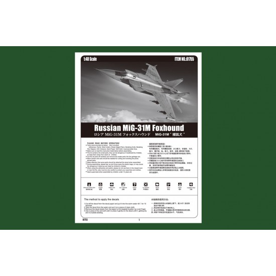 1/48 Russian MiG-31M Foxhound 1/48 Russian MiG-31M Foxhound