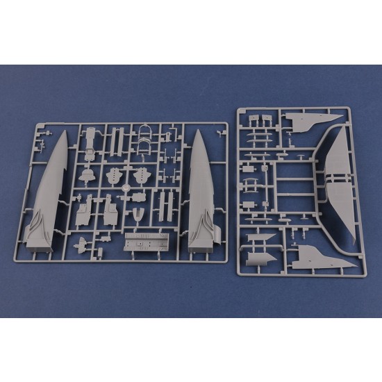1/48 Russian MiG-31M Foxhound 1/48 Russian MiG-31M Foxhound