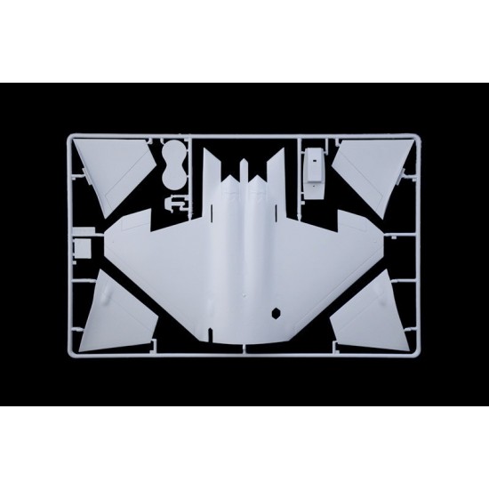 1/48 Lockheed Martin F-22A Raptor 1/48 Lockheed Martin F-22A Raptor