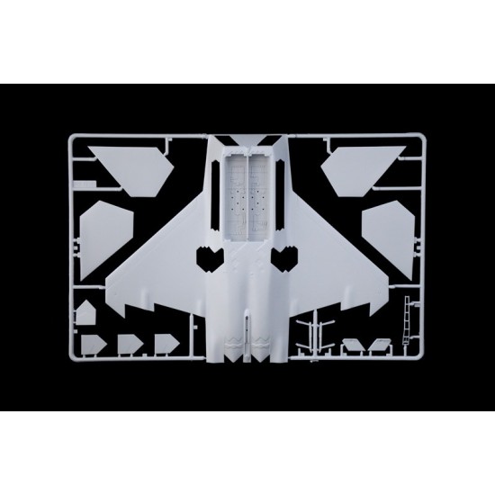 1/48 Lockheed Martin F-22A Raptor 1/48 Lockheed Martin F-22A Raptor