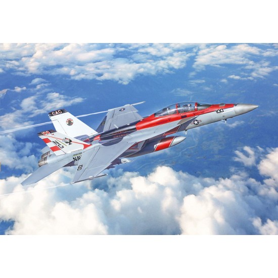 1/48 US Navy F/A-18F Super Hornet Special Colours 1/48 US Navy F/A-18F Super Hornet Special Colours