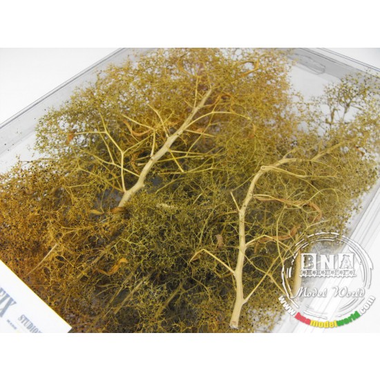 Fine Branches for all scales Fine Branches for all scales