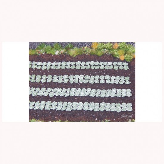 1/87 (HO scale) Green Cabbage Plants (440pcs) 1/87 (HO scale) Green Cabbage Plants (440pcs)