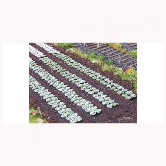 1/87 (HO scale) Green Cabbage Plants (440pcs) 1/87 (HO scale) Green Cabbage Plants (440pcs)