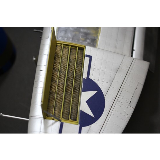 1/24 Republic P-47D Thunderbolt Bubbletop 1/24 Republic P-47D Thunderbolt Bubbletop