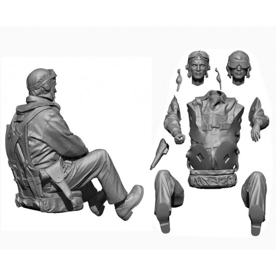 1/48 WWII US Navy Pilot & Rear Gunner set I (2 figures) 1/48 WWII US Navy Pilot & Rear Gunner set I (2 figures)