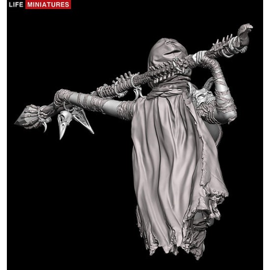 1/12 Zariyah The Necromancer Resin Bust Figure 1/12 Zariyah The Necromancer Resin Bust Figure
