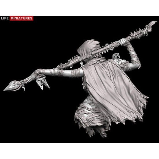 1/12 Zariyah The Necromancer Resin Bust Figure 1/12 Zariyah The Necromancer Resin Bust Figure