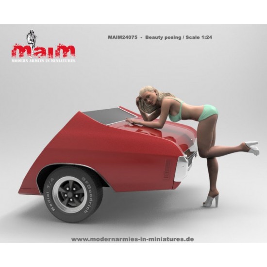 1/24 Car Wash Girl Posing Vol.1 (1 figure,3D printed soft resin) 1/24 Car Wash Girl Posing Vol.1 (1 figure,3D printed soft resin)