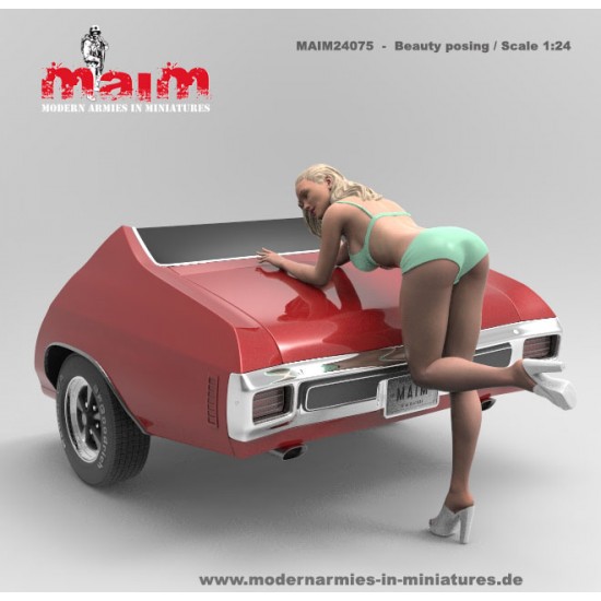 1/24 Car Wash Girl Posing Vol.1 (1 figure,3D printed soft resin) 1/24 Car Wash Girl Posing Vol.1 (1 figure,3D printed soft resin)