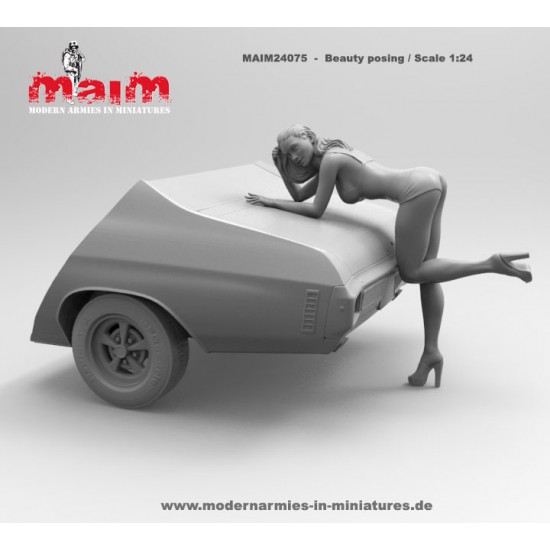1/24 Car Wash Girl Posing Vol.1 (1 figure,3D printed soft resin) 1/24 Car Wash Girl Posing Vol.1 (1 figure,3D printed soft resin)
