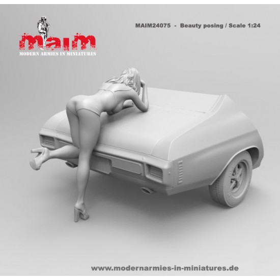 1/24 Car Wash Girl Posing Vol.1 (1 figure,3D printed soft resin) 1/24 Car Wash Girl Posing Vol.1 (1 figure,3D printed soft resin)