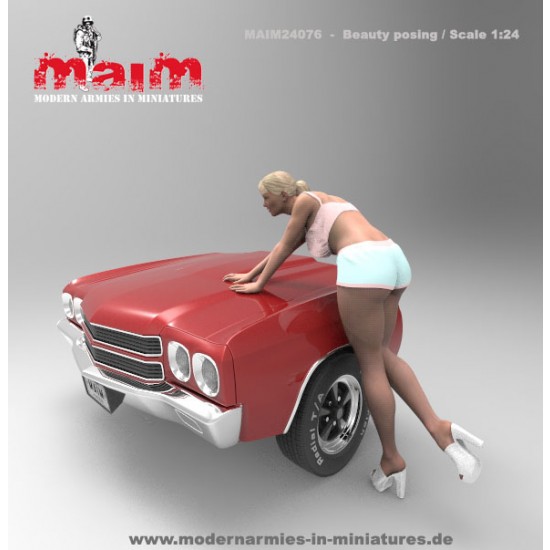 1/24 Car Wash Girl Posing Vol.2 (1 figure,3D printed soft resin) 1/24 Car Wash Girl Posing Vol.2 (1 figure,3D printed soft resin)