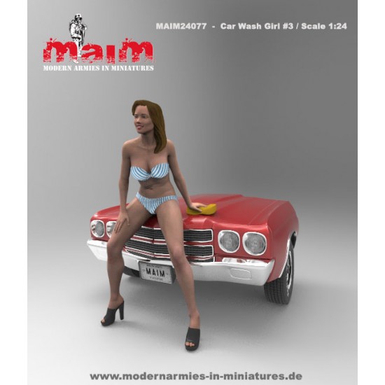 1/24 Car Wash Girl with Sponge Vol.3 (1 figure,3D printed soft resin) 1/24 Car Wash Girl with Sponge Vol.3 (1 figure,3D printed soft resin)
