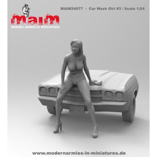 1/24 Car Wash Girl with Sponge Vol.3 (1 figure,3D printed soft resin) 1/24 Car Wash Girl with Sponge Vol.3 (1 figure,3D printed soft resin)