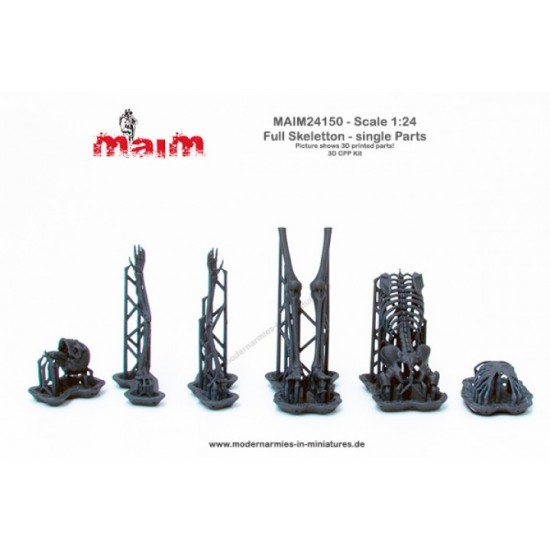 1/24 Human Skeleton Single Bones Set 1/24 Human Skeleton Single Bones Set