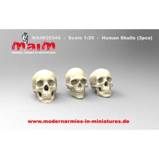 1/35 Human Skulls Set
