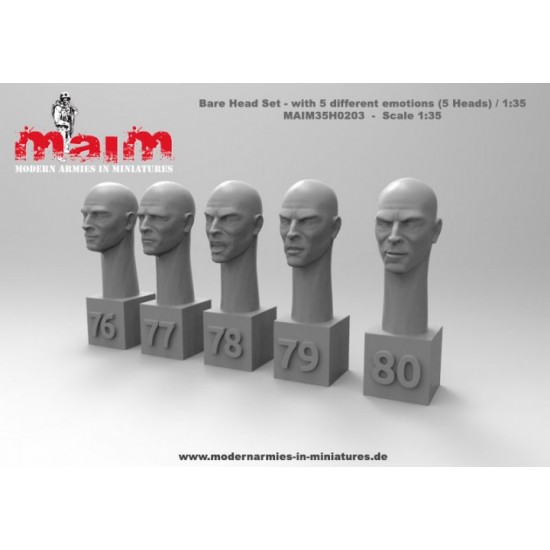 1/35 Bare Head Set with 5 Different Face Emotions (5 Heads, resin) 1/35 Bare Head Set with 5 Different Face Emotions (5 Heads, resin)