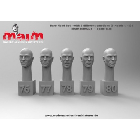 1/35 Bare Head Set with 5 Different Face Emotions (5 Heads, resin) 1/35 Bare Head Set with 5 Different Face Emotions (5 Heads, resin)