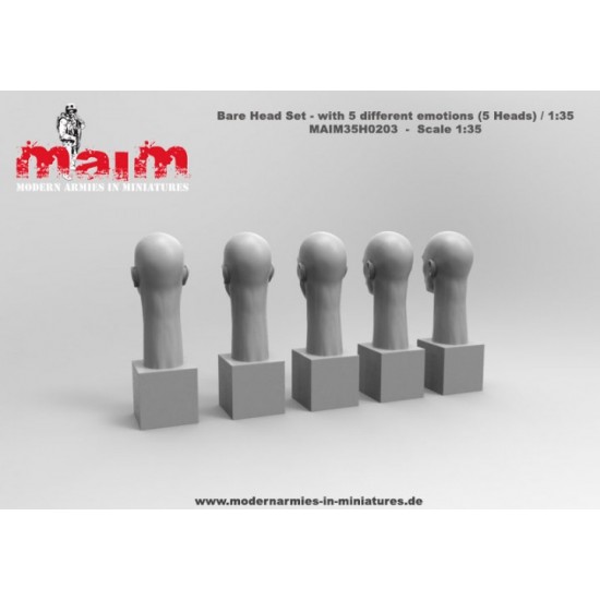 1/35 Bare Head Set with 5 Different Face Emotions (5 Heads, resin) 1/35 Bare Head Set with 5 Different Face Emotions (5 Heads, resin)