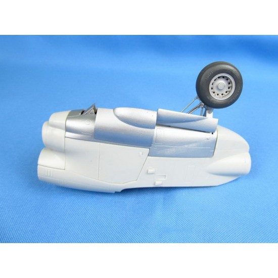 1/48 Northrop Grumman E-2C Hawkeye Landing gears and bays for Italeri/Kinetic kits 1/48 Northrop Grumman E-2C Hawkeye Landing gears and bays for Italeri/Kinetic kits