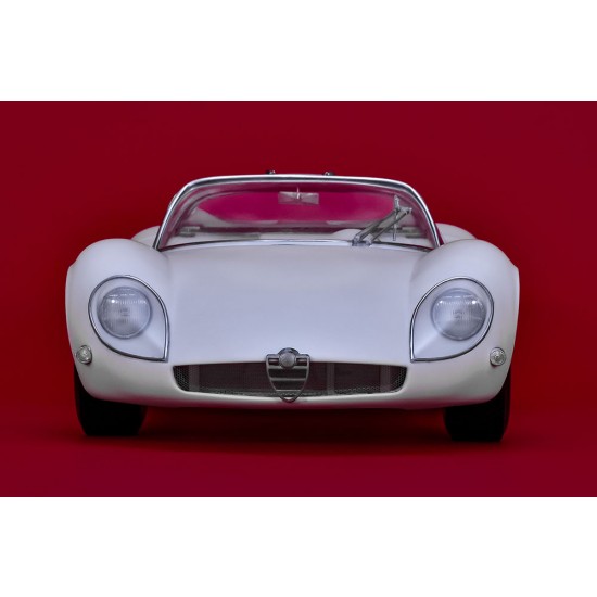 1/12 Full Detail Kit: Alfa Romeo Tipo33 Stradale 1/12 Full Detail Kit: Alfa Romeo Tipo33 Stradale
