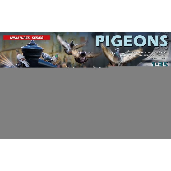 1/35 Pigeons (36pcs) 1/35 Pigeons (36pcs)