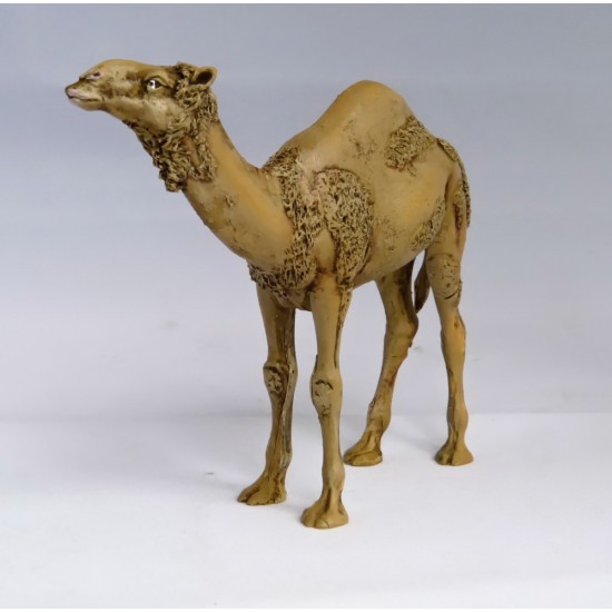 1/35 Camel 1/35 Camel
