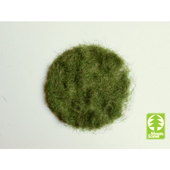 Grass Flock - Early Summer (Length: 4.5 mm, 50g) Grass Flock - Early Summer (Length: 4.5 mm, 50g)