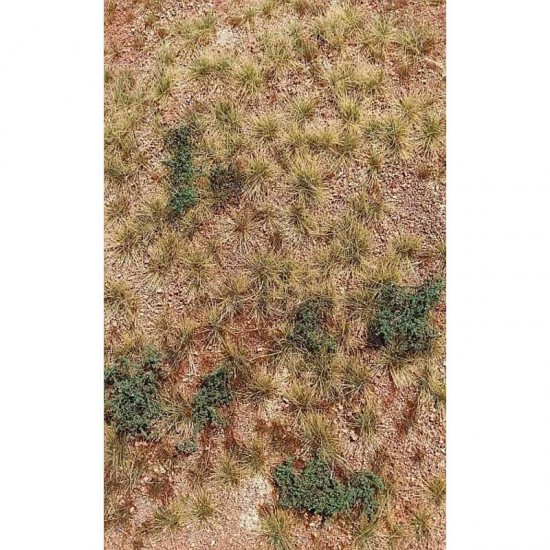 Desert Terrain San Pedro Desert (18x28 cm) Desert Terrain San Pedro Desert (18x28 cm)