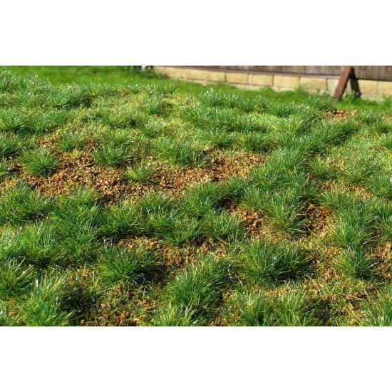 [Premium Line] Grass Mat - Steppe Green (Early Summer) (Size: 18x28cm / 7x11)