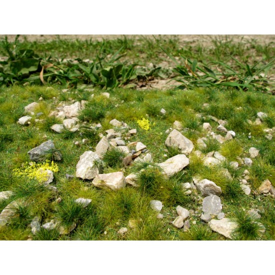 Grass Mat w/Calc Stones - Early Summer Vol.2 (Size: 18 x 28 cm)