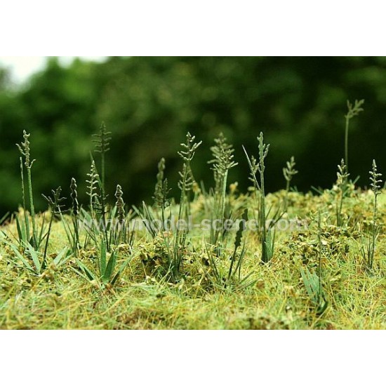1/32, 1/35 Fescue (5 Laser-cut Paper Sheets) 1/32, 1/35 Fescue (5 Laser-cut Paper Sheets)
