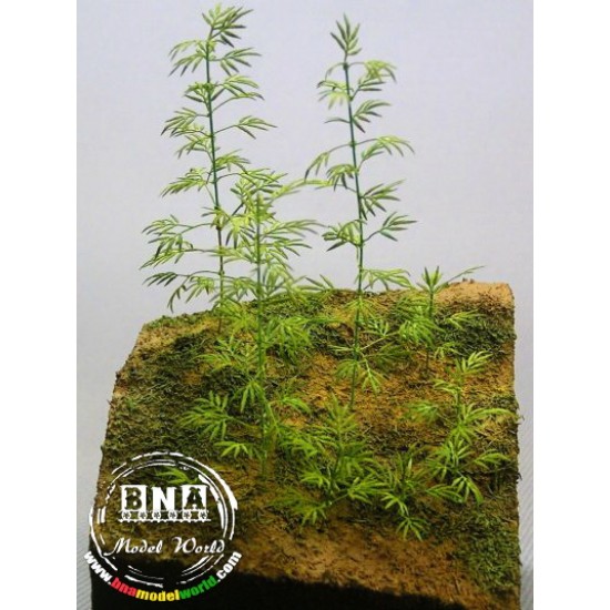 1/35 Simon bamboo - Paper Plant kit 1/35 Simon bamboo - Paper Plant kit