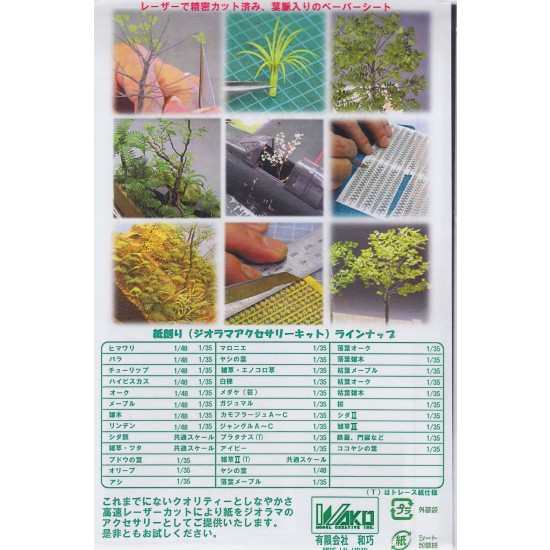 1/35 Simon bamboo - Paper Plant kit 1/35 Simon bamboo - Paper Plant kit