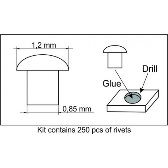 1/35 Rivets No.5 (Top Diameter: 1.2 mm, Bottom Diameter: 0.85 mm, 250pcs) 1/35 Rivets No.5 (Top Diameter: 1.2 mm, Bottom Diameter: 0.85 mm, 250pcs)