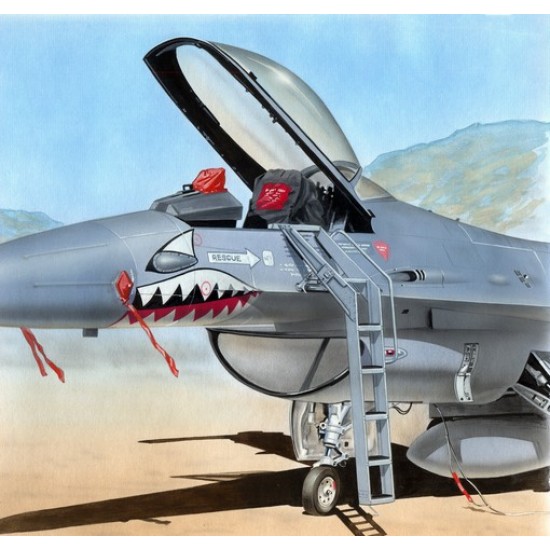 1/48 Ladder for General-Dynamics F-16A/Lockheed-Martin F-16C (Plastic Injected kit)