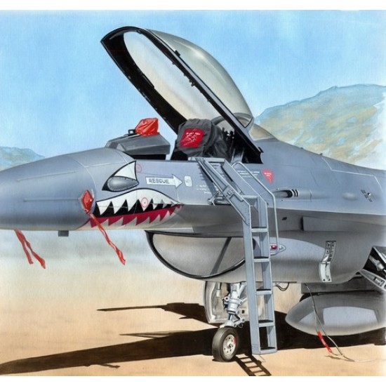 1/48 Ladder for General-Dynamics F-16A/Lockheed-Martin F-16C (Plastic Injected kit) 1/48 Ladder for General-Dynamics F-16A/Lockheed-Martin F-16C (Plastic Injected kit)