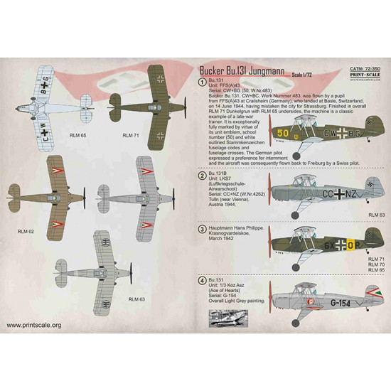 Decals for 1/72 Bucker Bu.131 Jungmann Decals for 1/72 Bucker Bu.131 Jungmann