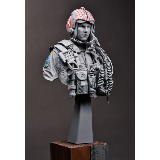 1/9 Bust - USN/US Navy F-14 Tomcat Pilot 1980s 1/9 Bust - USN/US Navy F-14 Tomcat Pilot 1980s