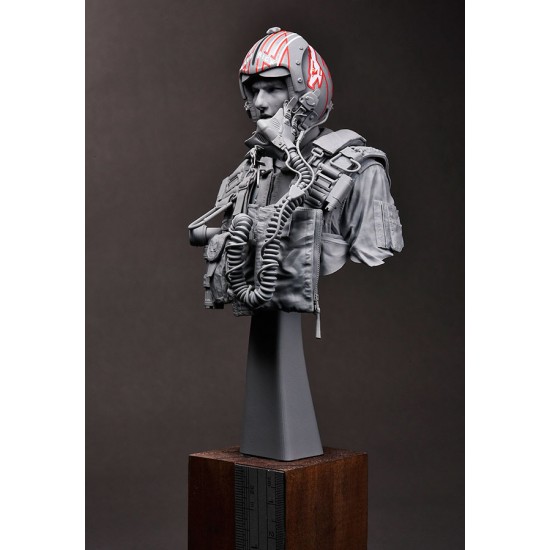 1/9 Bust - USN/US Navy F-14 Tomcat Pilot 1980s 1/9 Bust - USN/US Navy F-14 Tomcat Pilot 1980s
