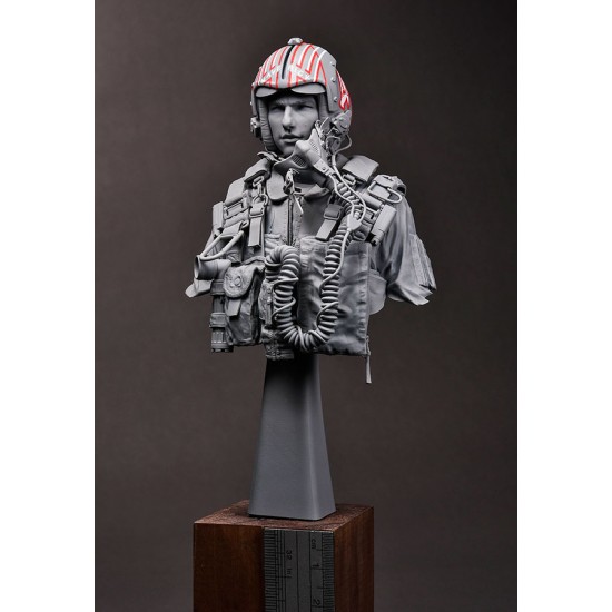 1/9 Bust - USN/US Navy F-14 Tomcat Pilot 1980s 1/9 Bust - USN/US Navy F-14 Tomcat Pilot 1980s