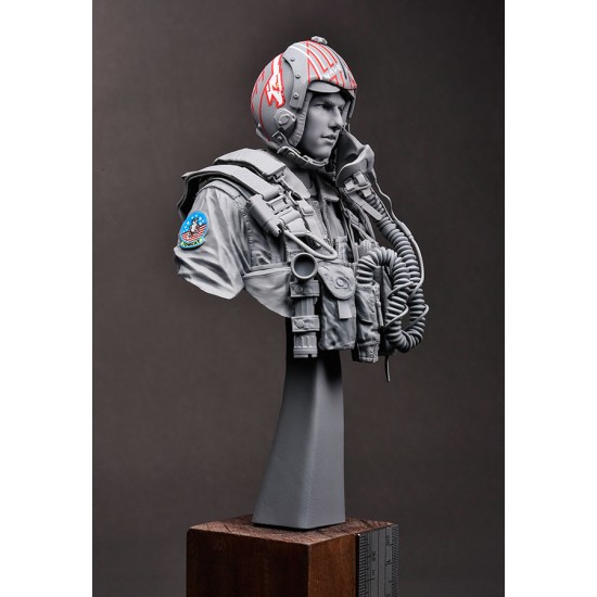 1/9 Bust - USN/US Navy F-14 Tomcat Pilot 1980s 1/9 Bust - USN/US Navy F-14 Tomcat Pilot 1980s