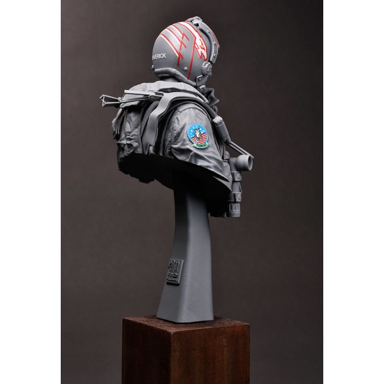 1/9 Bust - USN/US Navy F-14 Tomcat Pilot 1980s 1/9 Bust - USN/US Navy F-14 Tomcat Pilot 1980s