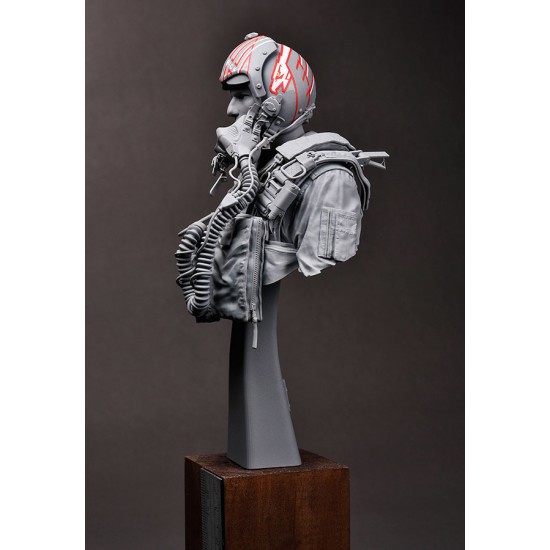 1/9 Bust - USN/US Navy F-14 Tomcat Pilot 1980s 1/9 Bust - USN/US Navy F-14 Tomcat Pilot 1980s