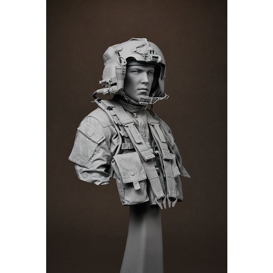 1/9 US Army Apache Pilot Bust 1/9 US Army Apache Pilot Bust