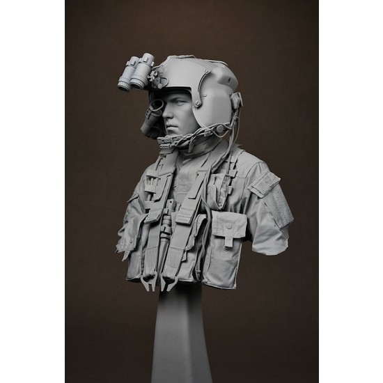 1/9 US Army Apache Pilot Bust 1/9 US Army Apache Pilot Bust